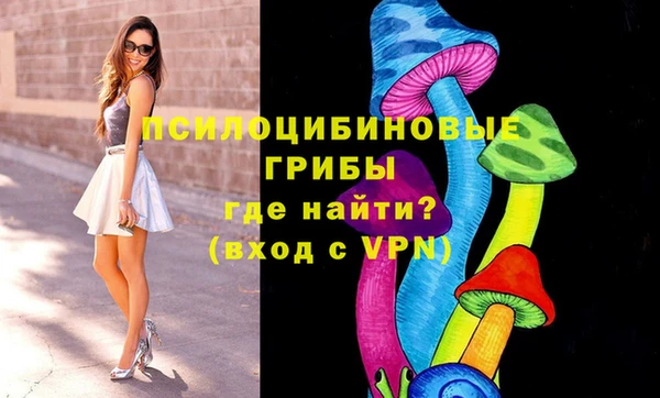 apvp Карталы